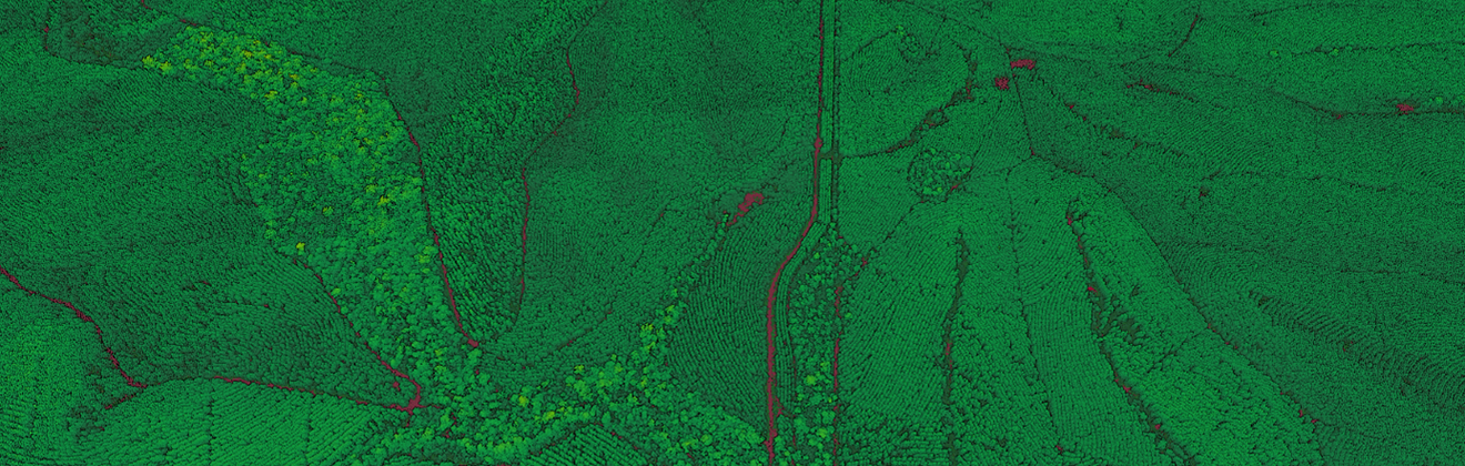 HQPlantations: understanding the environmental & commercial state of forestry operations with aerial LiDAR