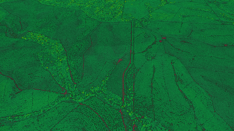 Supporting HQPlantations with large-scale consistent aerial LiDAR surveys
