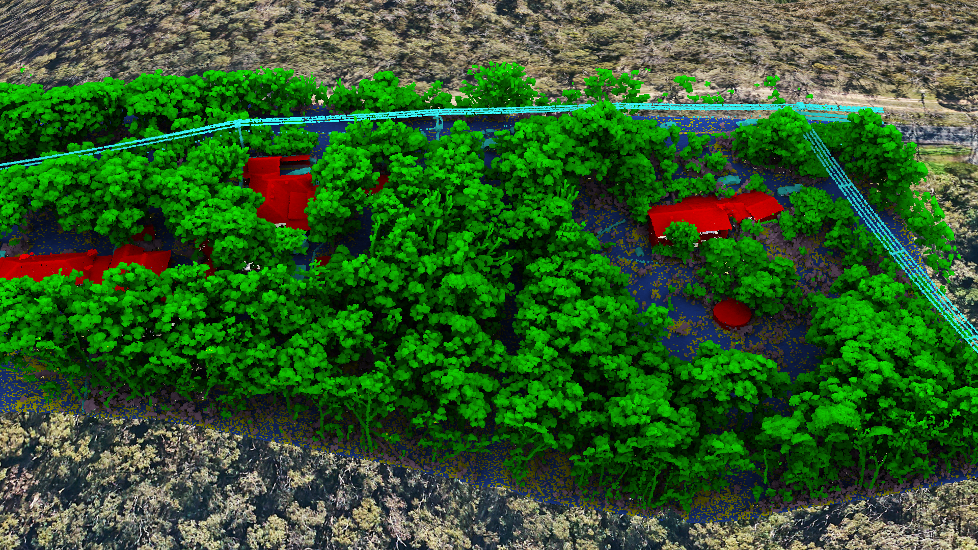 Lidar with trees.png