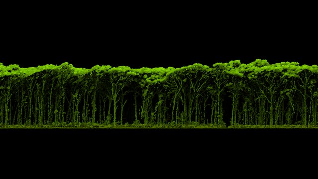LiDAR-derived Vegetation Profile