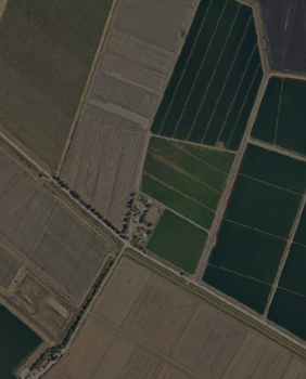 Forestry & Agriculture