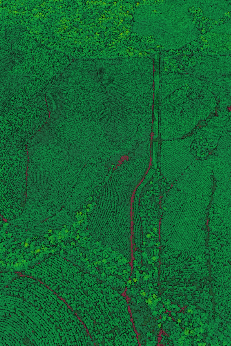 agri forestry lidar