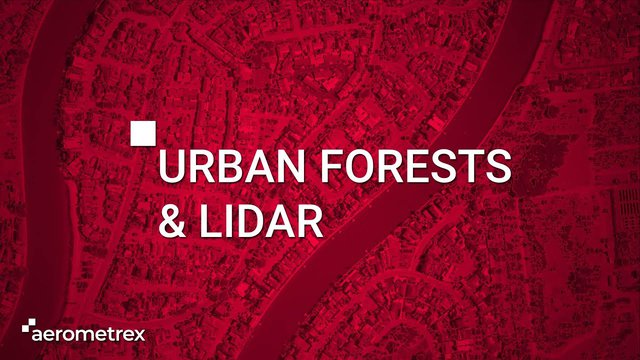 Urban Forests & LiDAR